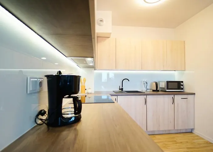 Everysky - Slowackiego 5a-b 카르파츠